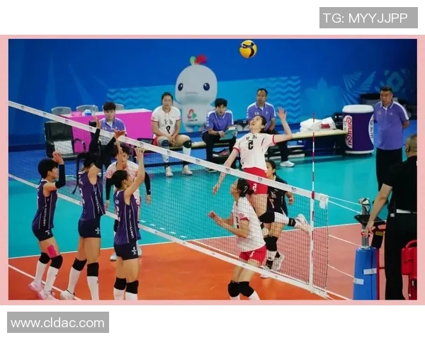 武汉排球队全运会精彩表现解析团队协作的重要性与未来展望